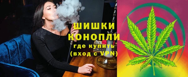 не бодяженный Ладушкин