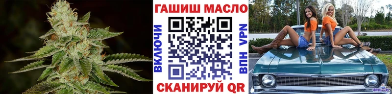 KRAKEN онион  Сураж  ТГК гашишное масло 