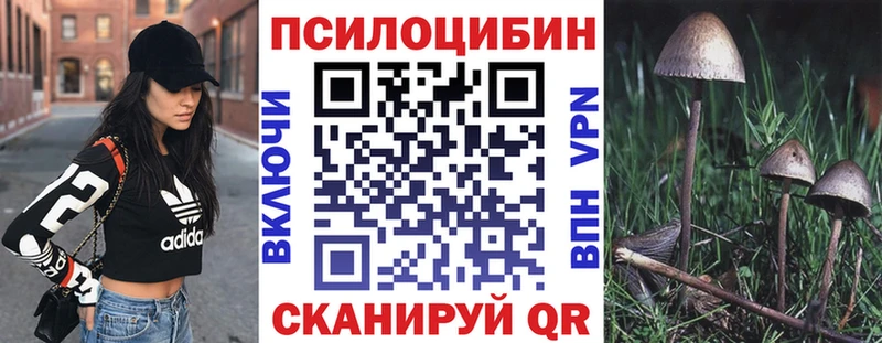 Галлюциногенные грибы Magic Shrooms  гидра онион  Сураж 