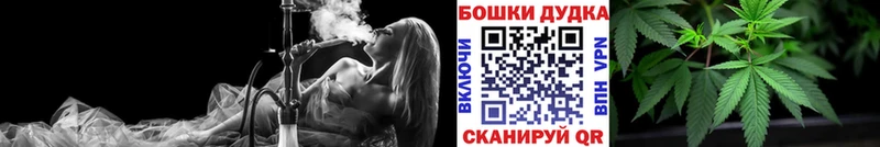 Бошки Шишки план  kraken   Сураж  где продают  